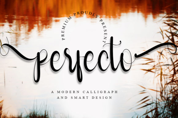 Perfecto: Elevating Your Creative Projects with Whimsical Script