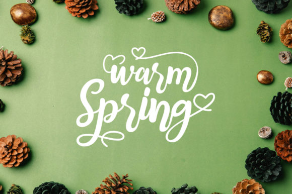 Warm Spring: A Refined Script Font for Modern Designers
